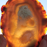Agate geode slice 546g Rocks and Things