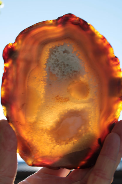 Agate geode slice 546g Rocks and Things