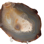 Agate geode slice 546g Rocks and Things