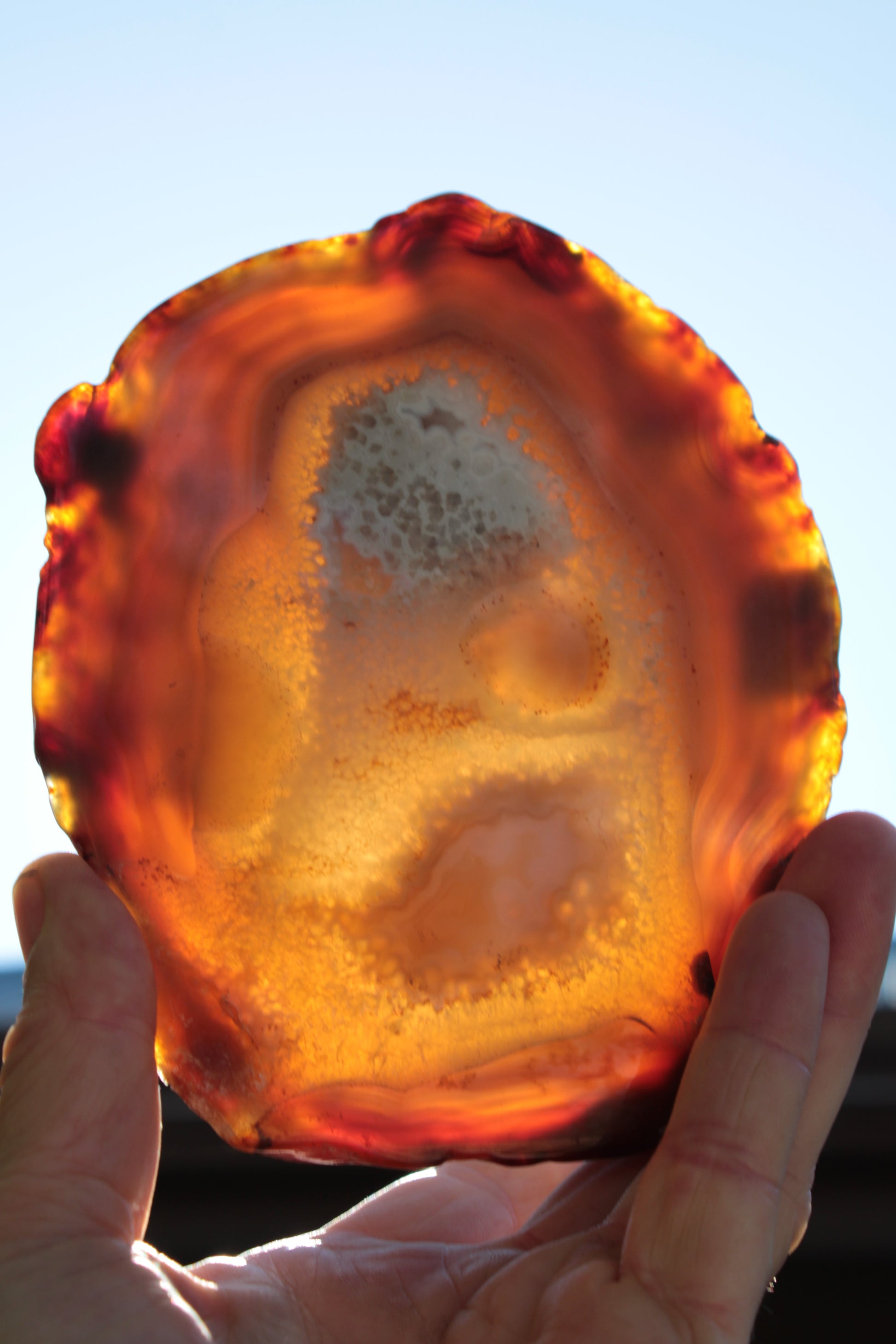 Agate geode slice 546g Rocks and Things