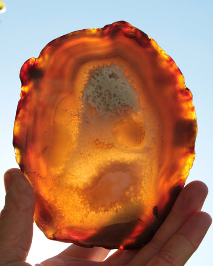 Agate geode slice 546g Rocks and Things