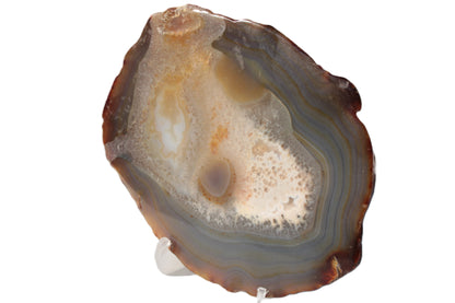 Agate geode slice 546g Rocks and Things