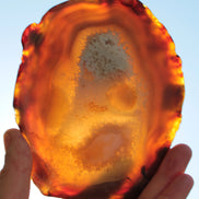 Agate geode slice 546g Rocks and Things