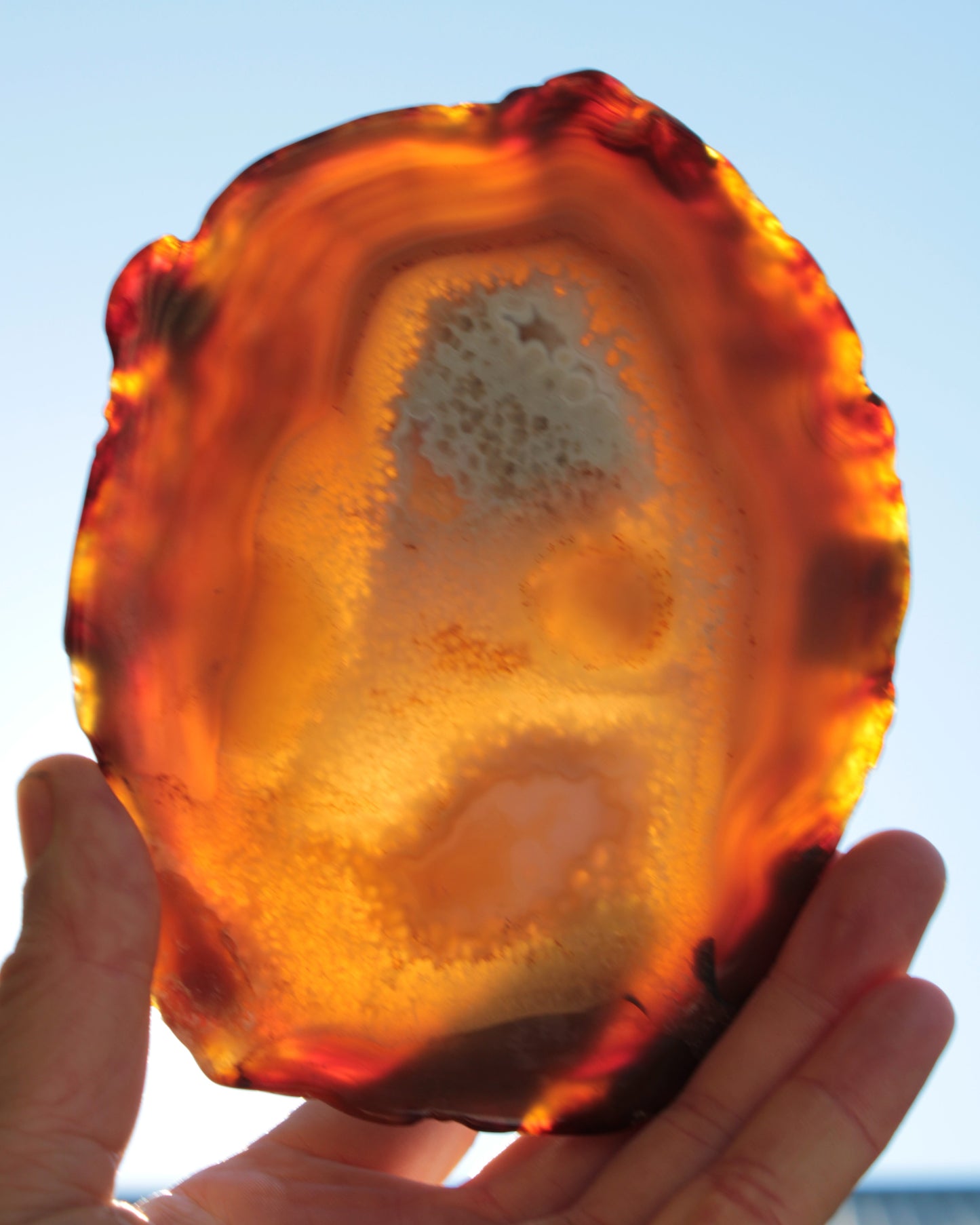 Agate geode slice 546g Rocks and Things