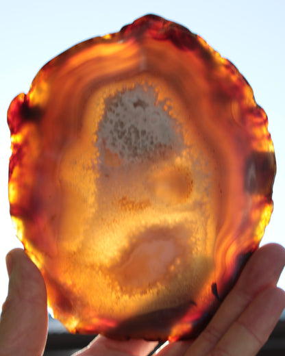 Agate geode slice 546g Rocks and Things