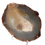 Agate geode slice 546g Rocks and Things