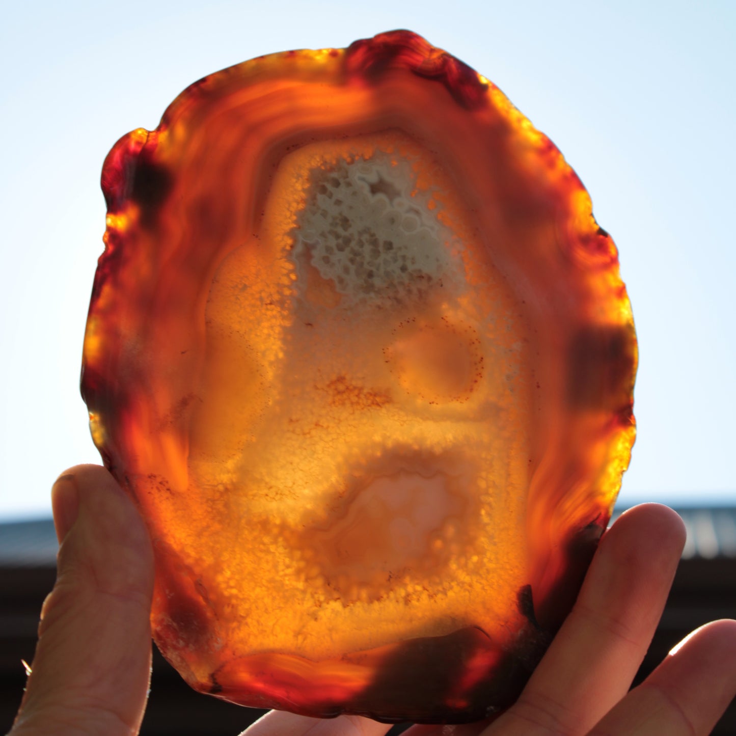 Agate geode slice 546g Rocks and Things