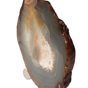 Agate geode slice 546g Rocks and Things