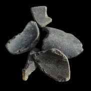 Old thick river Glass finds from Reedy Creek, Eldorado, Victoria 4/5 pieces in sunshine - Rocks and Things Store