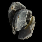 Old thick river Glass finds from Reedy Creek, Eldorado, Victoria 4/5 pieces in sunshine - Rocks and Things Store