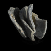 Old thick river Glass finds from Reedy Creek, Eldorado, Victoria 4/5 pieces in sunshine - Rocks and Things Store