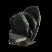 Old thick river Glass finds from Reedy Creek, Eldorado, Victoria 4/5 pieces in sunshine - Rocks and Things Store