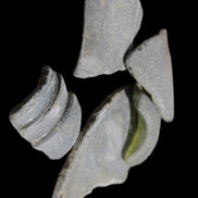 Old thick river Glass finds from Reedy Creek, Eldorado, Victoria 4/5 pieces in sunlight - Rocks and Things Store
