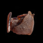 Beer bottle river glass finds from Reedy Creek, Eldorado, Victoria, 11 pieces - Rocks and Things Store