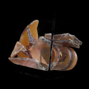 Beer bottle river glass finds from Reedy Creek, Eldorado, Victoria, 11 pieces - Rocks and Things Store