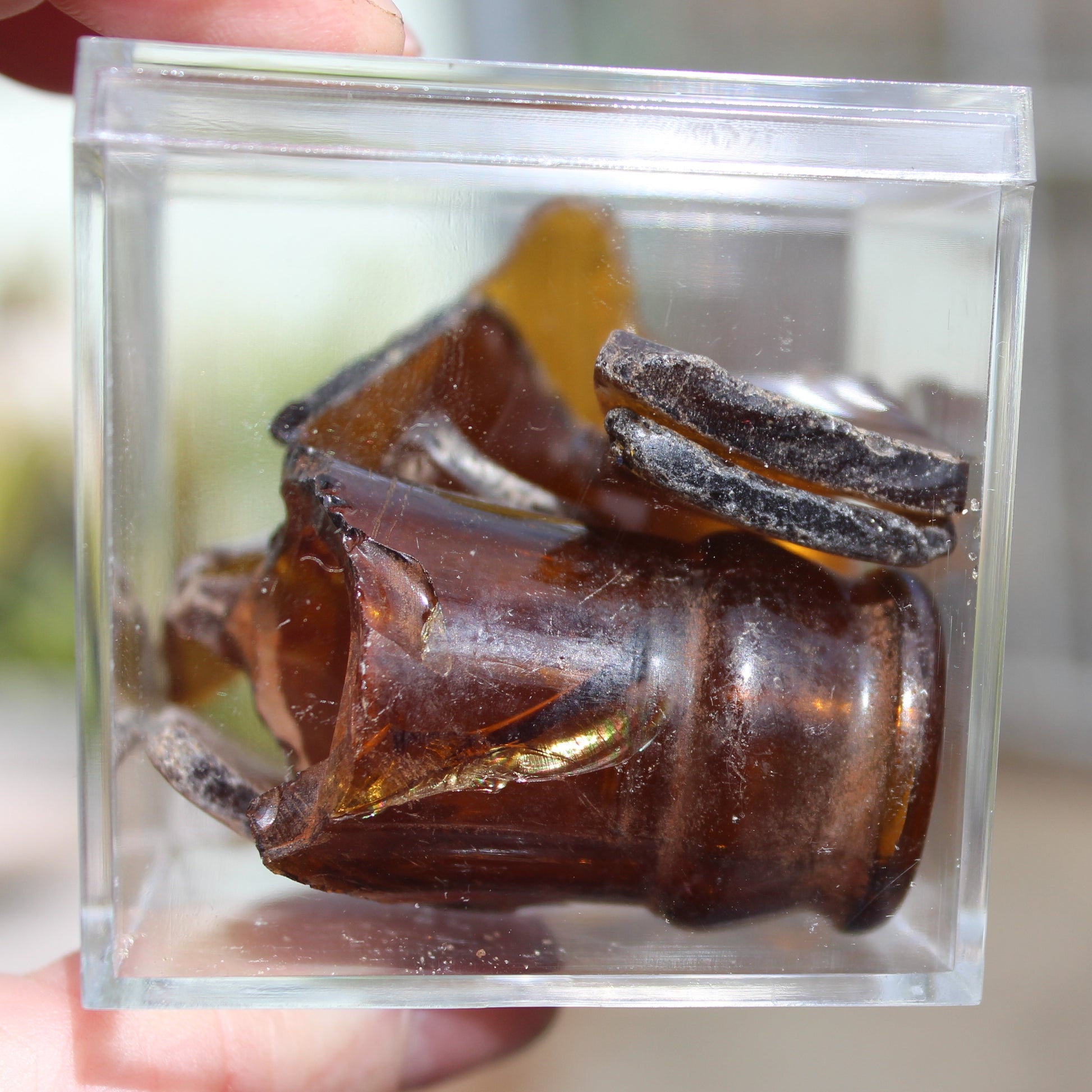 Beer bottle river glass finds from Reedy Creek, Eldorado, Victoria, 11 pieces Rocks and Things