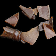 Beer bottle river glass finds from Reedy Creek, Eldorado, Victoria, 11 pieces - Rocks and Things Store