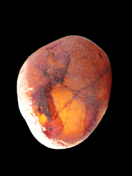 Fire Agate from Namibia 107g in sunlight - Rocks and Things Store