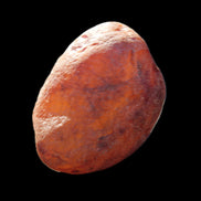 Fire Agate from Namibia 107g in sunlight - Rocks and Things Store