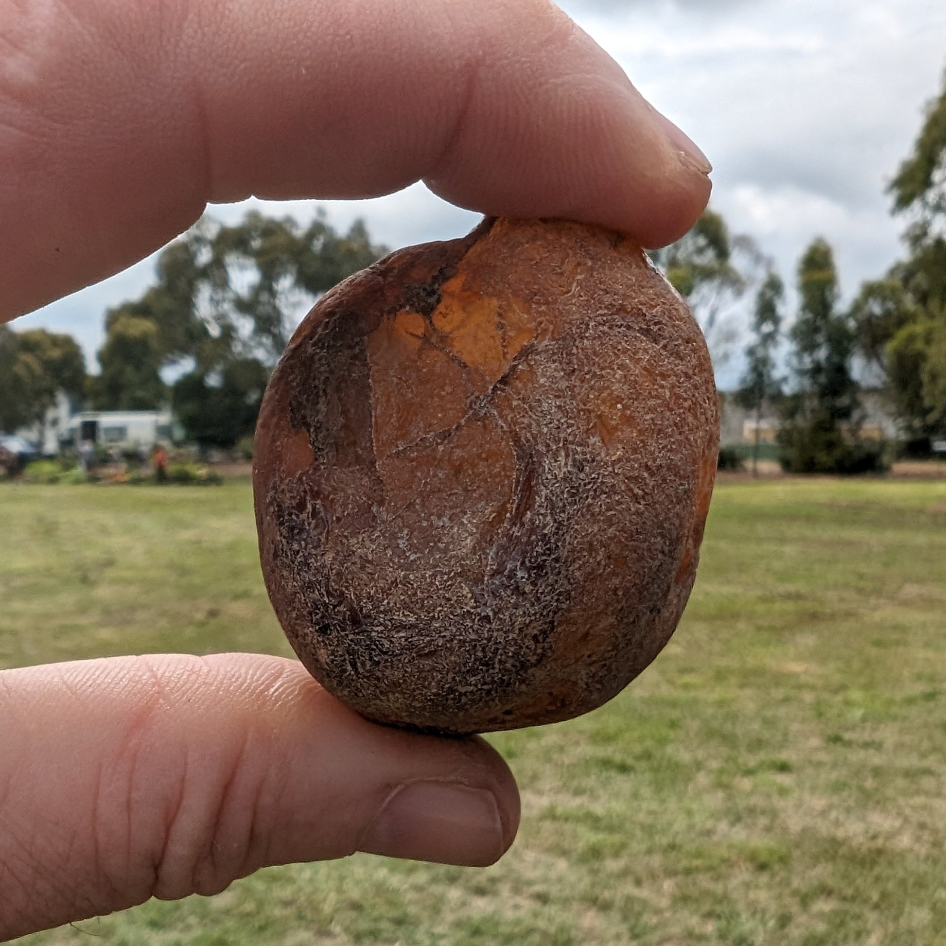 Fire Agate from Namibia 107g Rocks and Things