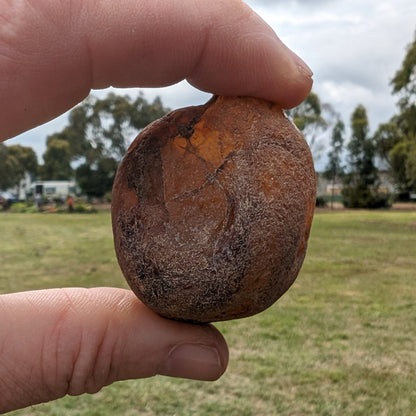 Fire Agate from Namibia 107g Rocks and Things