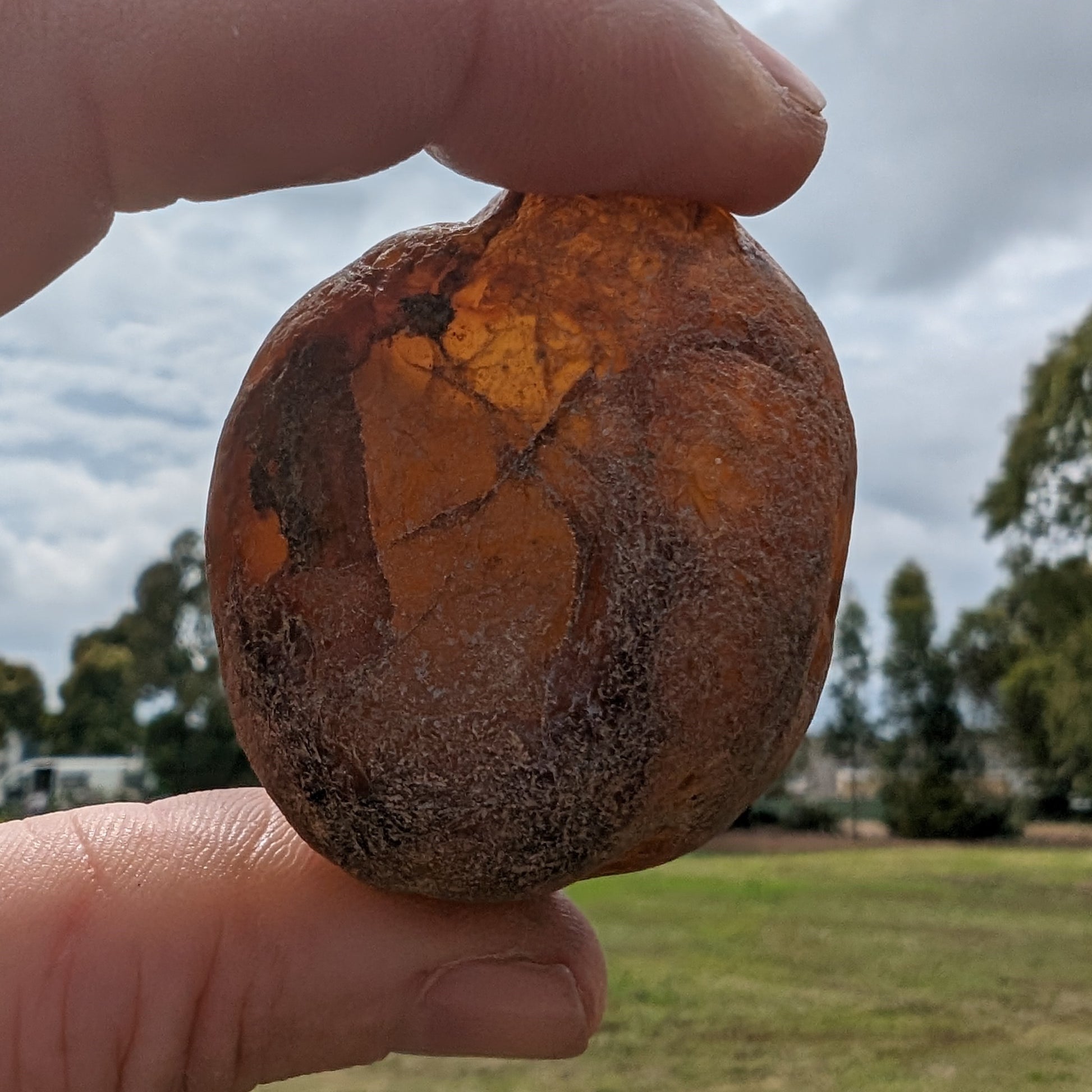 Fire Agate from Namibia 107g Rocks and Things