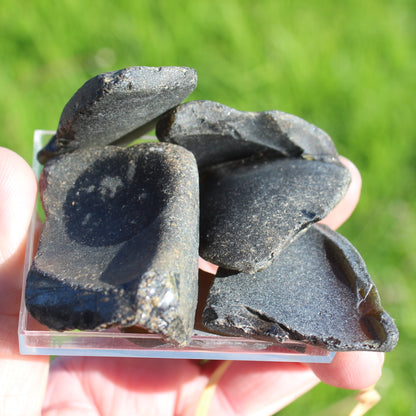 Thick old Glass from Reedy Creek, Eldorado 99g Rocks and Things