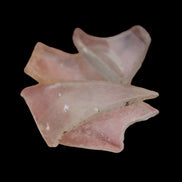 Clear river Glass finds from Reedy Creek, Eldorado, Victoria 4 pieces  - Rocks and Things Store