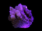 Orange Calcite cluster 45*50mm 68g in UV light