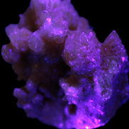 Orange Calcite cluster 45*50mm 68g in UV light