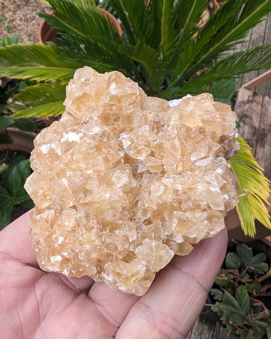 Golden Yellow cubic Calcite cluster UV reactive 312g Rocks and Things