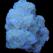 Golden Yellow cubic Calcite cluster UV reactive 312g in UV light - Rocks and Things Store