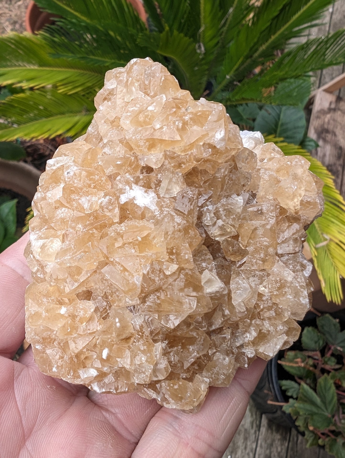 Golden Yellow cubic Calcite cluster UV reactive 312g Rocks and Things