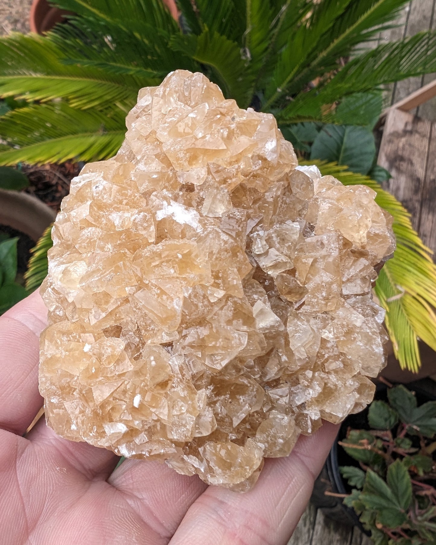 Golden Yellow cubic Calcite cluster UV reactive 312g Rocks and Things