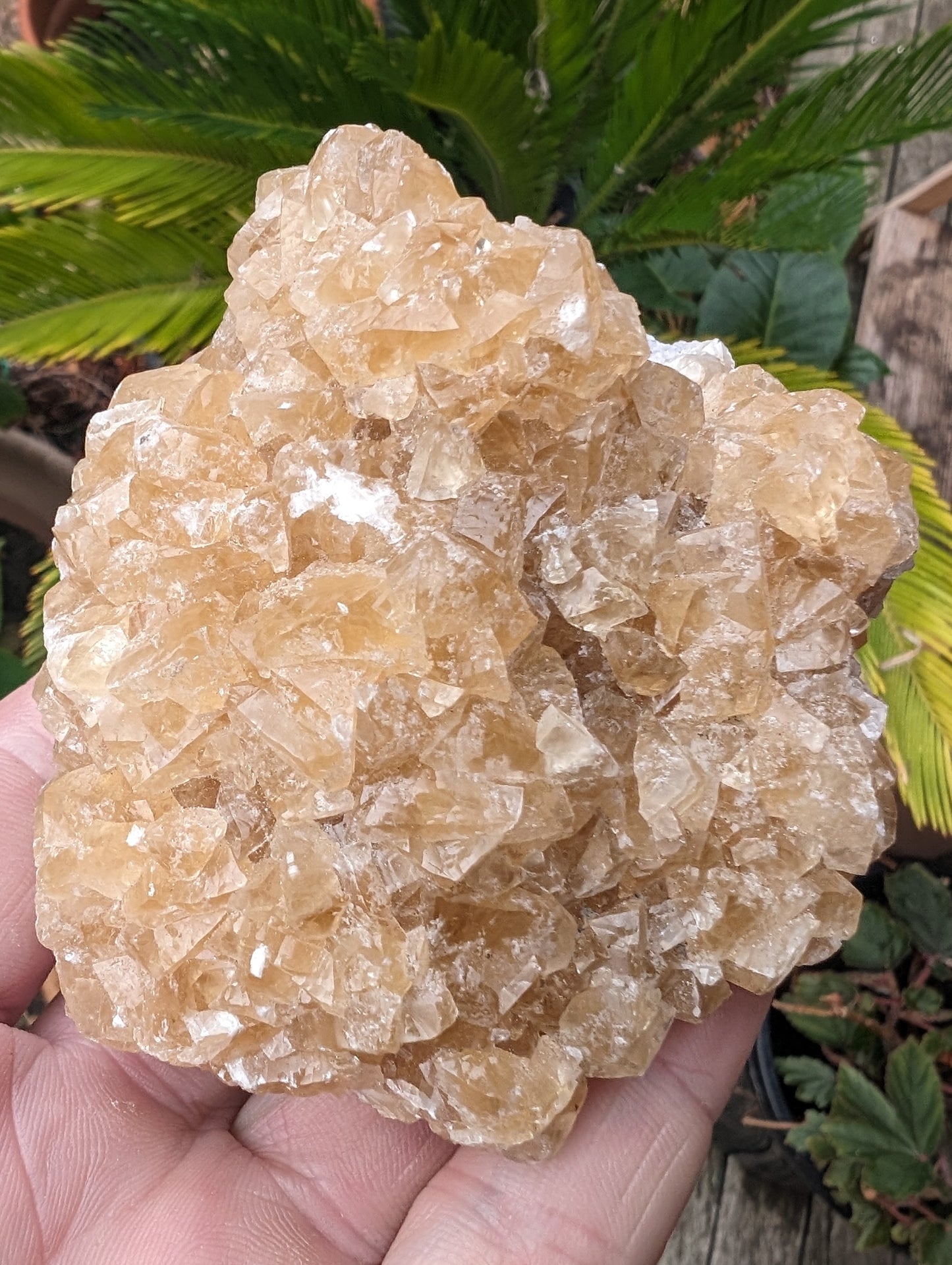 Golden Yellow cubic Calcite cluster UV reactive 312g Rocks and Things