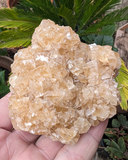 Golden Yellow cubic Calcite cluster UV reactive 312g Rocks and Things