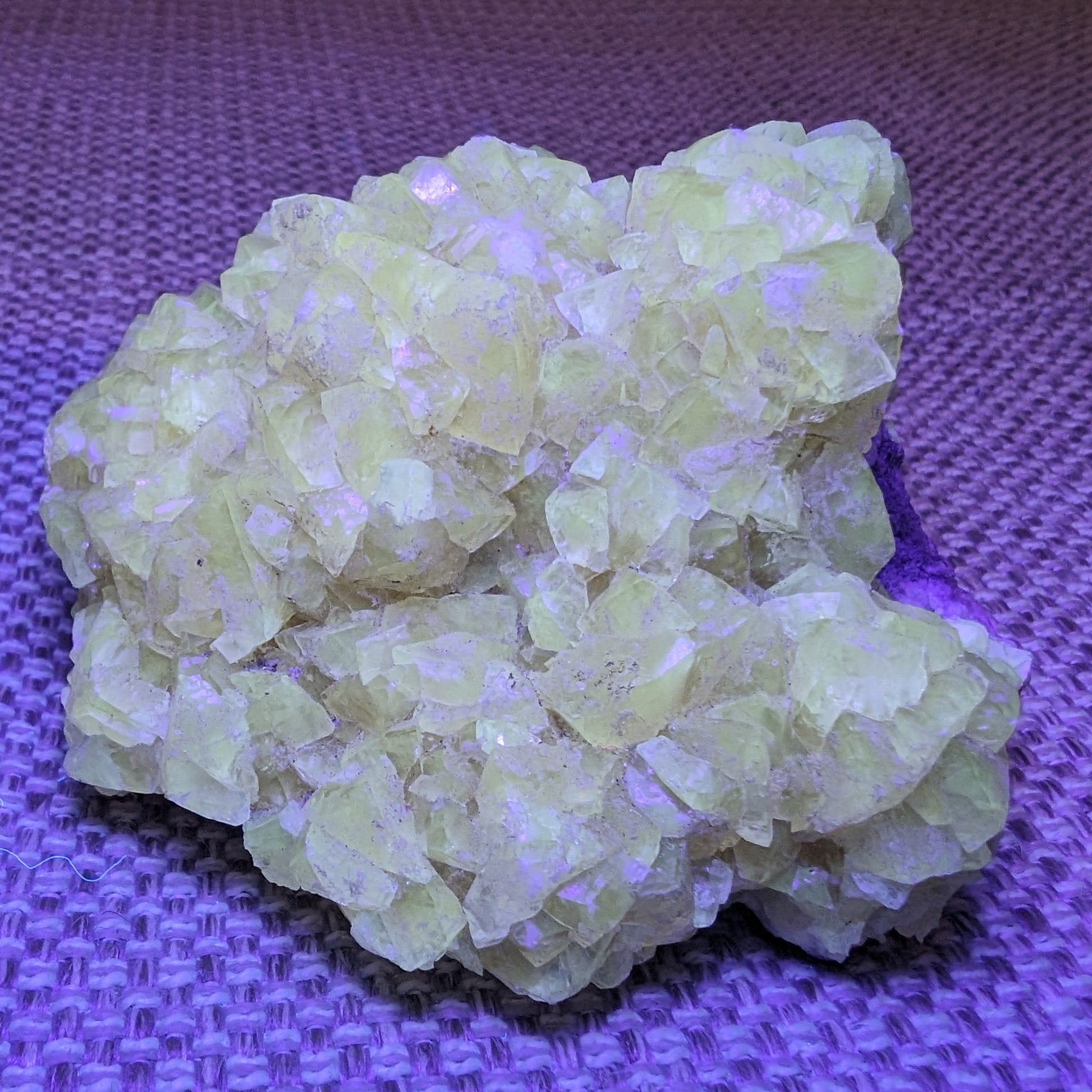 Golden Yellow cubic Calcite cluster UV reactive 312g Rocks and Things