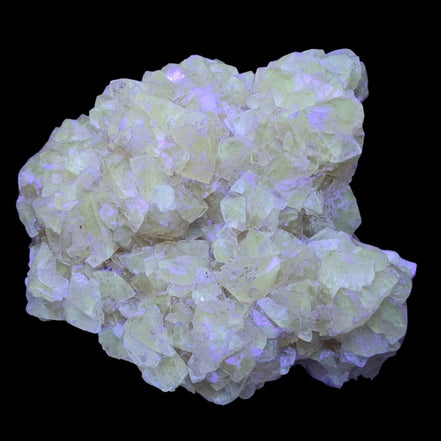 Golden Yellow cubic Calcite cluster UV reactive 312g in UV light - Rocks and Things Store