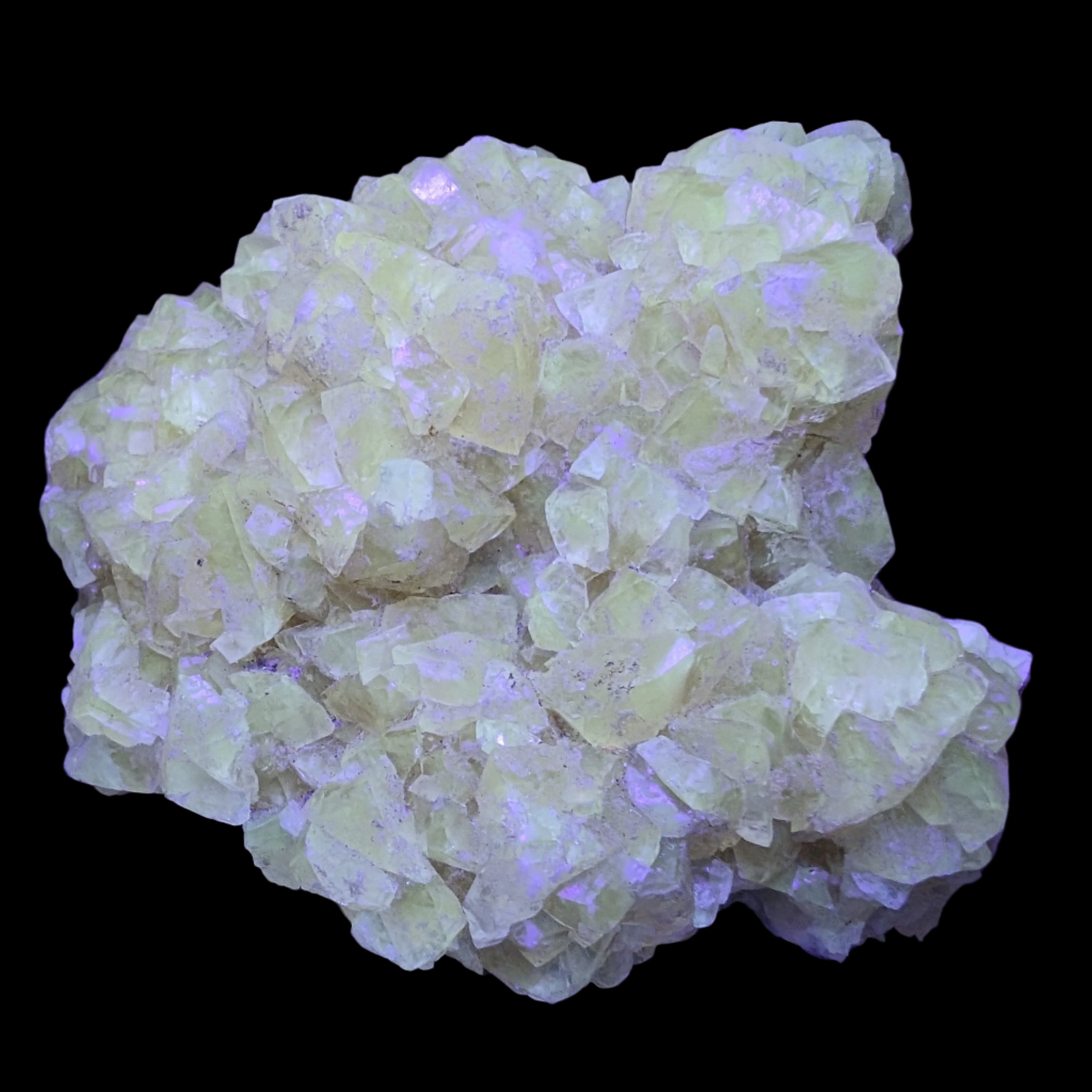 Golden Yellow cubic Calcite cluster UV reactive 312g in UV light - Rocks and Things Store