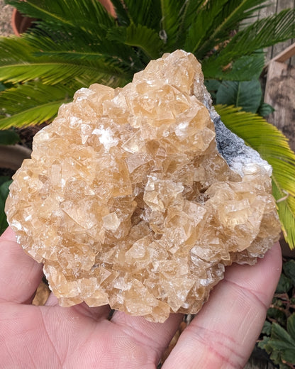 Golden Yellow cubic Calcite cluster UV reactive 312g Rocks and Things