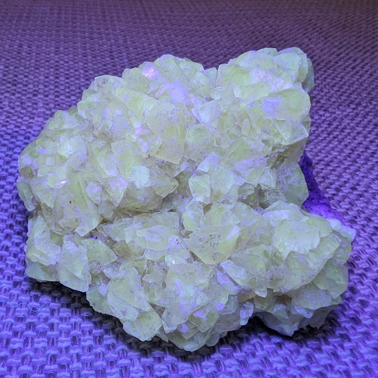 Golden Yellow cubic Calcite cluster UV reactive 312g Rocks and Things