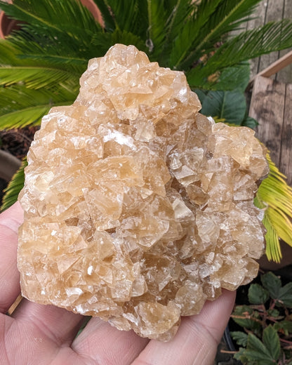 Golden Yellow cubic Calcite cluster UV reactive 312g Rocks and Things