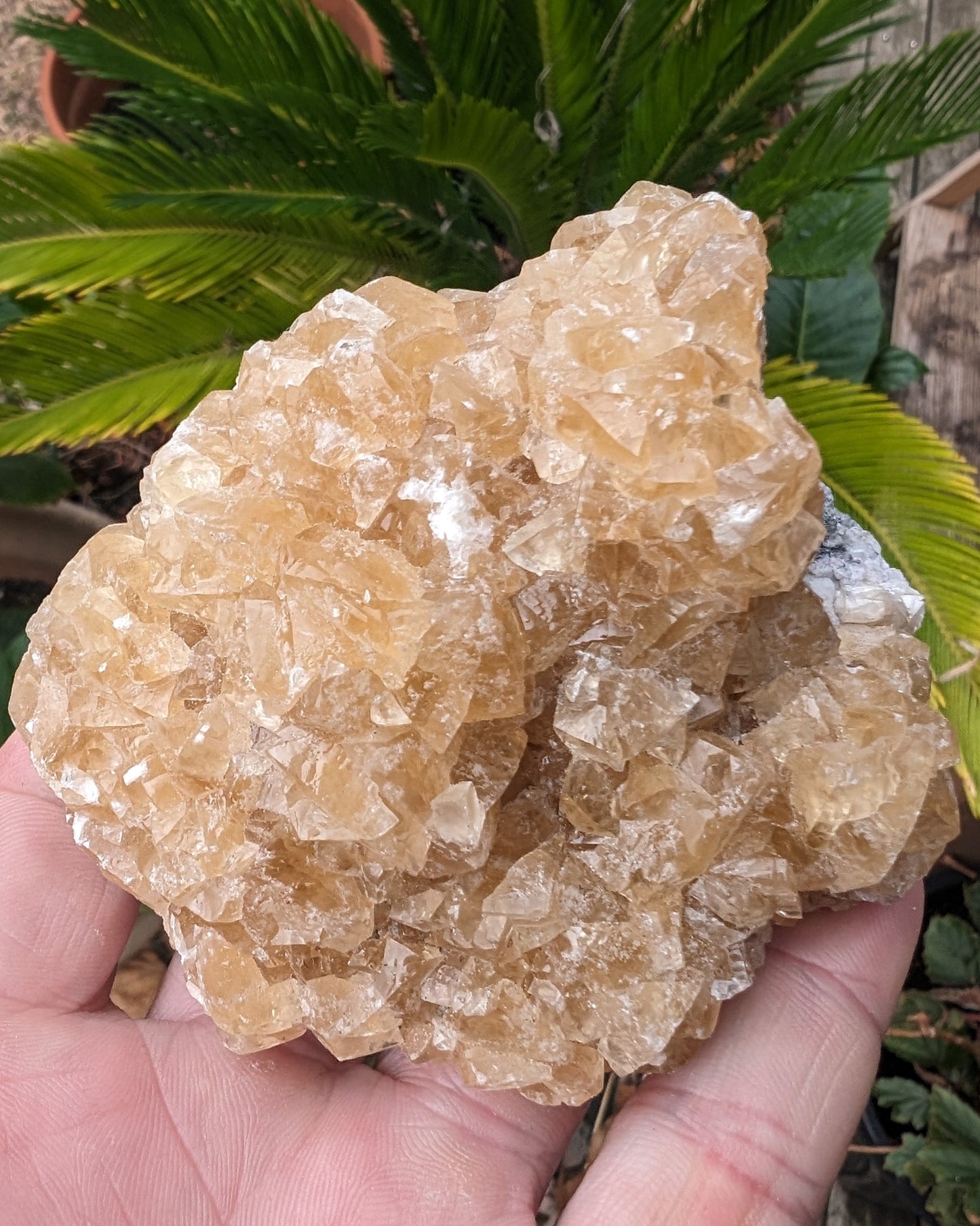 Golden Yellow cubic Calcite cluster UV reactive 312g Rocks and Things