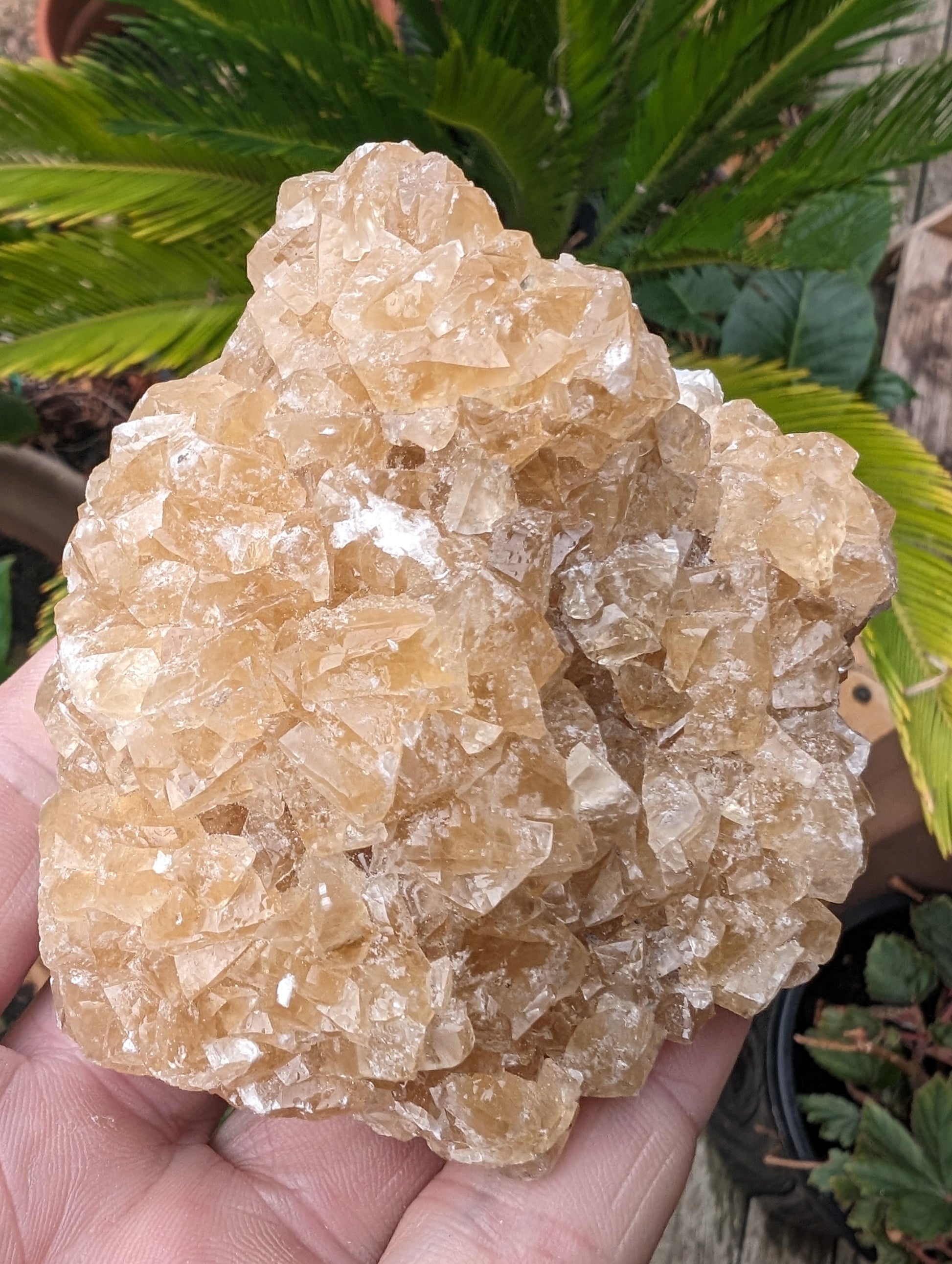 Golden Yellow cubic Calcite cluster UV reactive 312g Rocks and Things