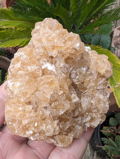 Golden Yellow cubic Calcite cluster UV reactive 312g Rocks and Things