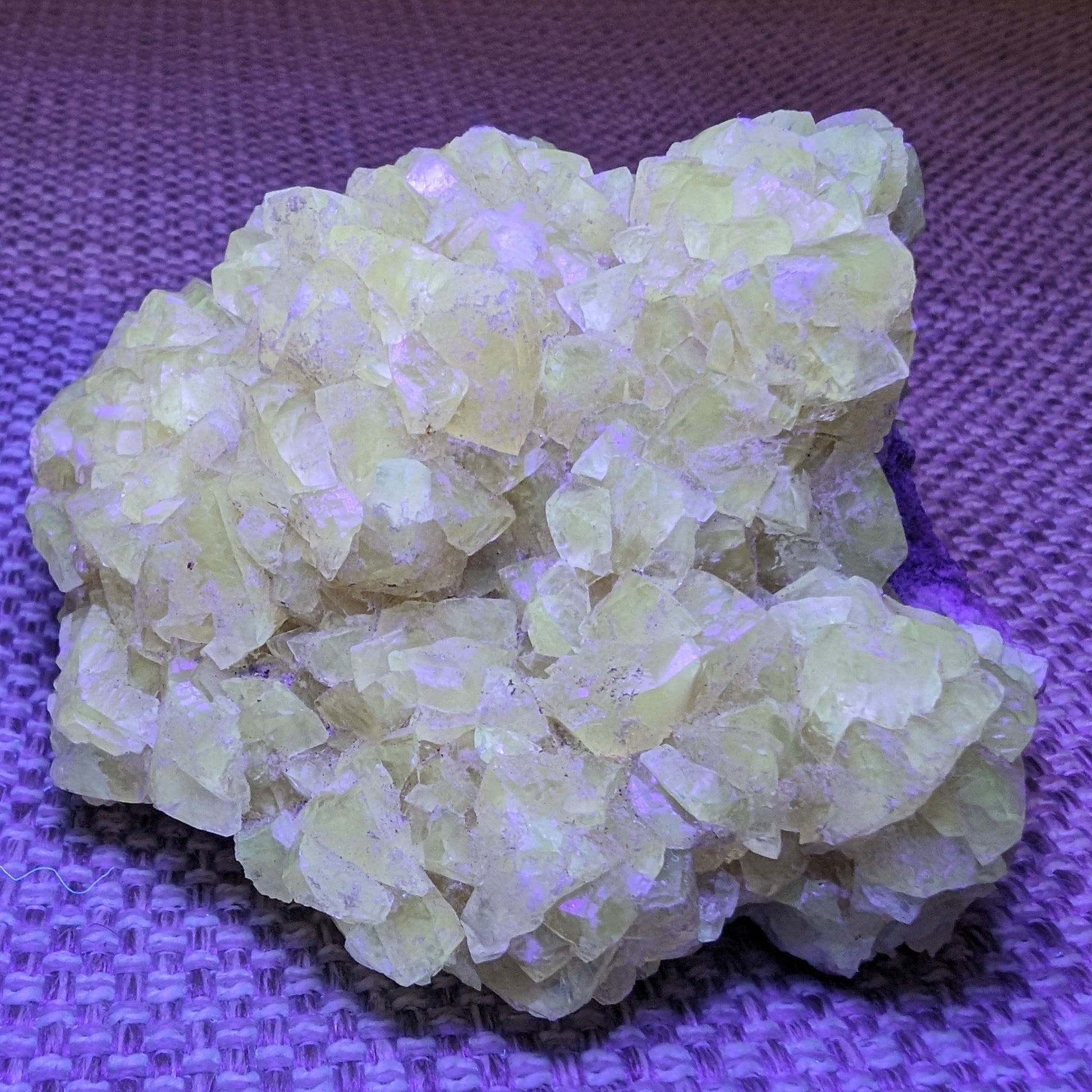 Golden Yellow cubic Calcite cluster UV reactive 312g Rocks and Things