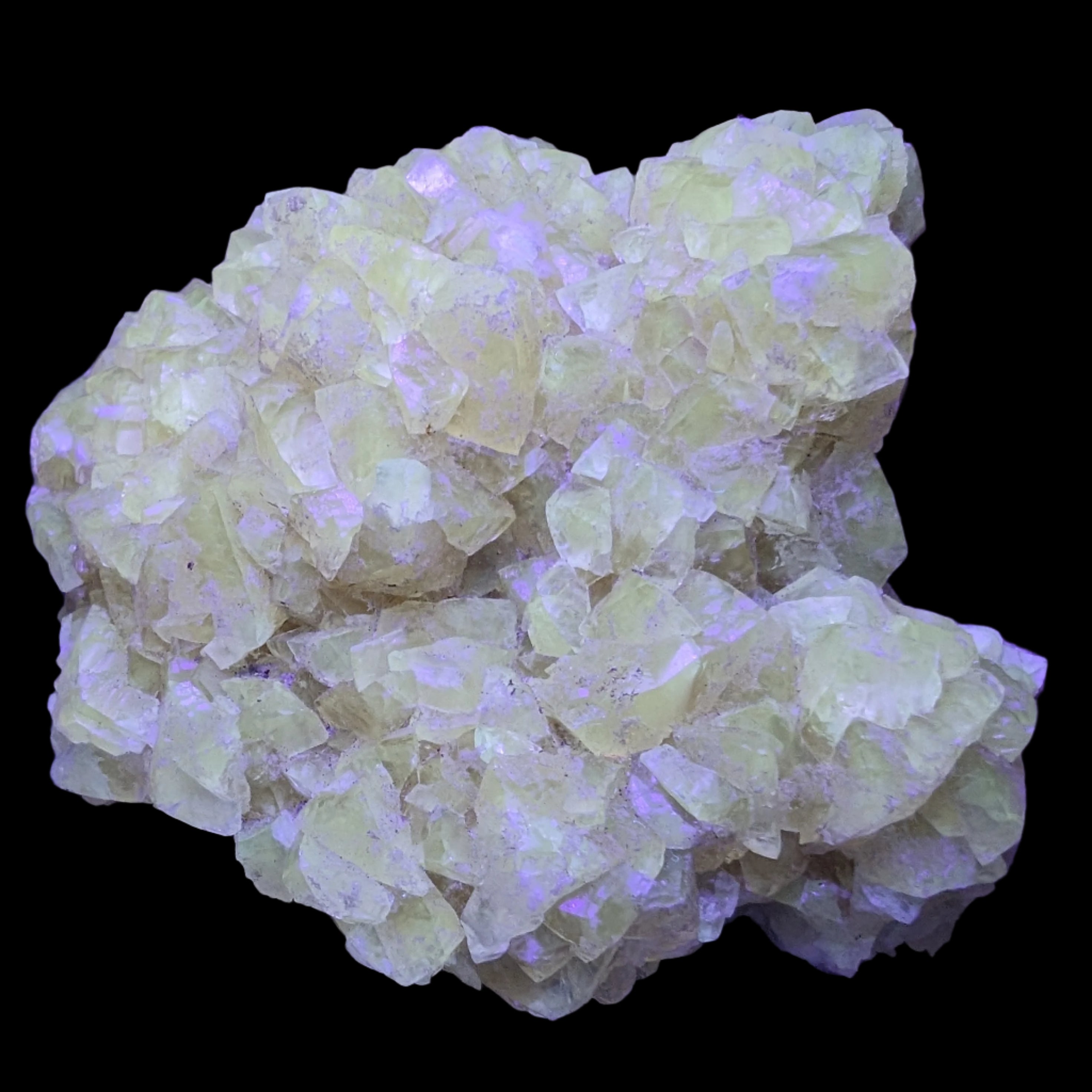 Golden Yellow cubic Calcite cluster UV reactive 312g in UV light - Rocks and Things Store