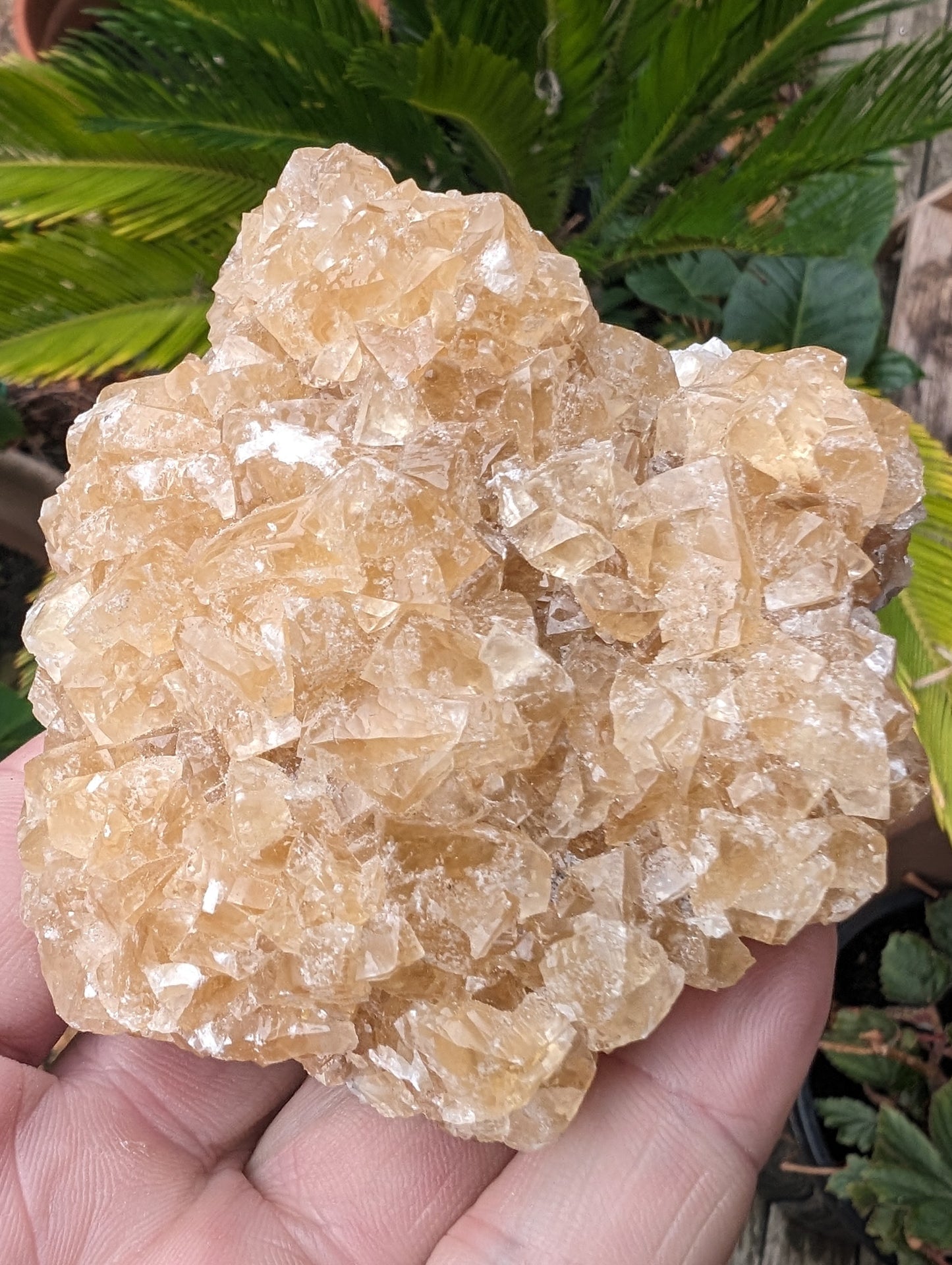 Golden Yellow cubic Calcite cluster UV reactive 312g Rocks and Things