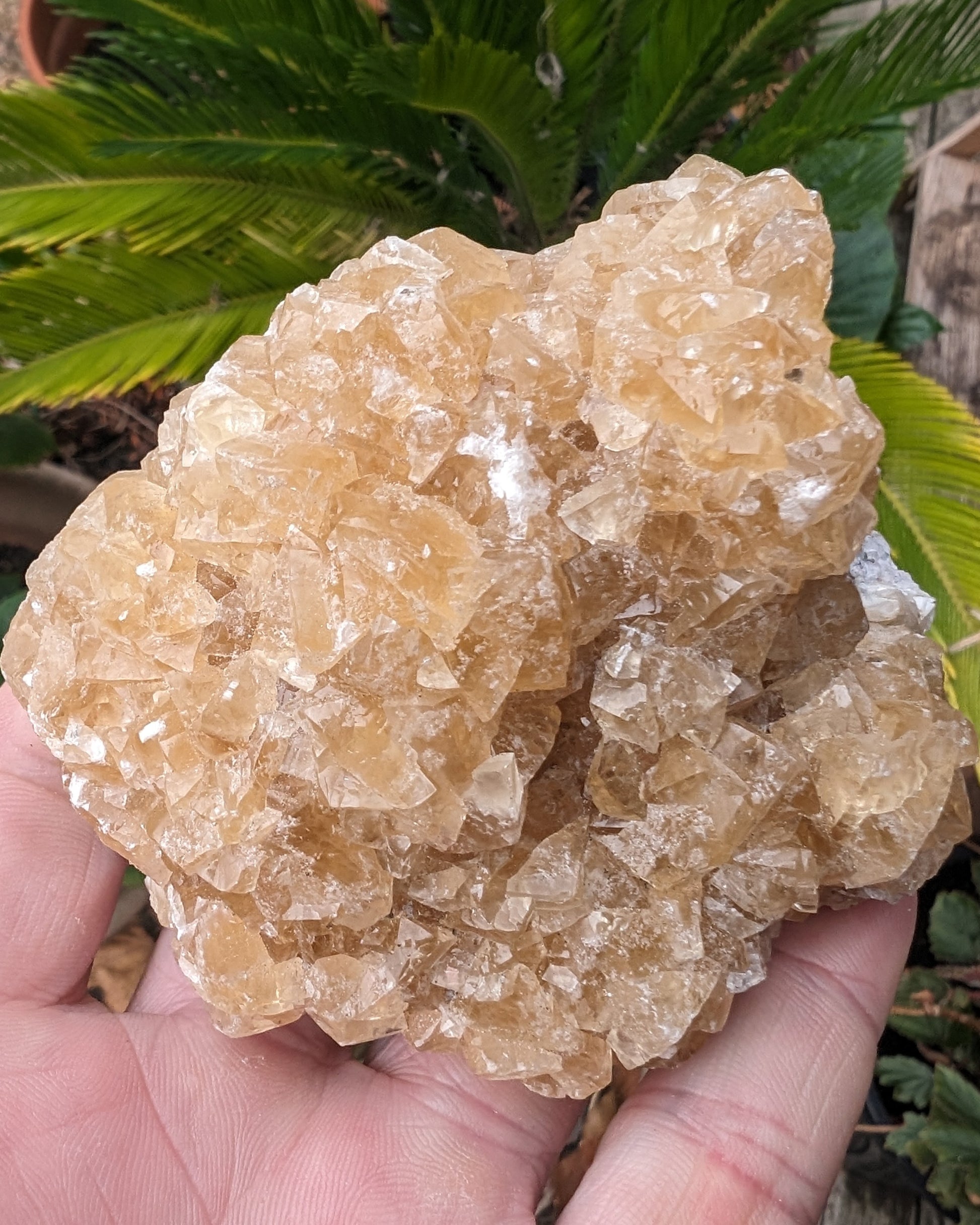 Golden Yellow cubic Calcite cluster UV reactive 312g Rocks and Things