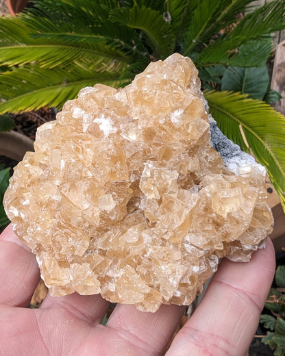 Golden Yellow cubic Calcite cluster UV reactive 312g Rocks and Things